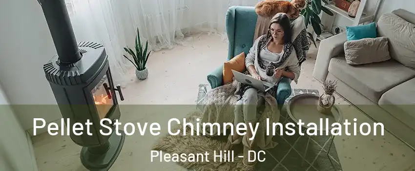 Pellet Stove Chimney Installation Pleasant Hill - DC