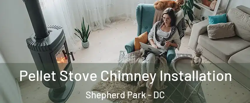 Pellet Stove Chimney Installation Shepherd Park - DC