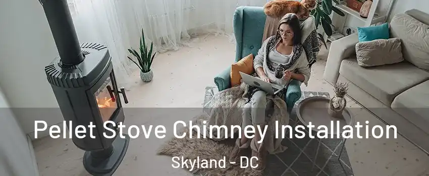 Pellet Stove Chimney Installation Skyland - DC