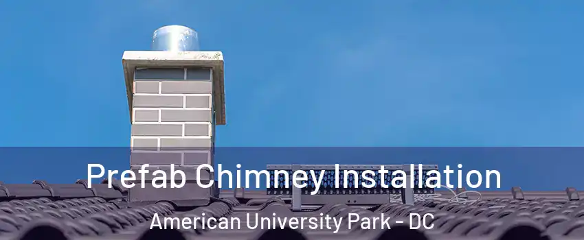 Prefab Chimney Installation American University Park - DC