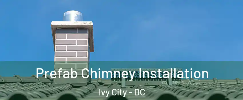 Prefab Chimney Installation Ivy City - DC