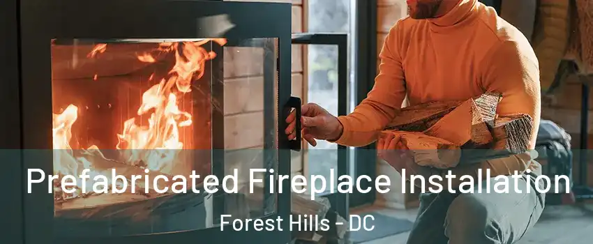 Prefabricated Fireplace Installation Forest Hills - DC