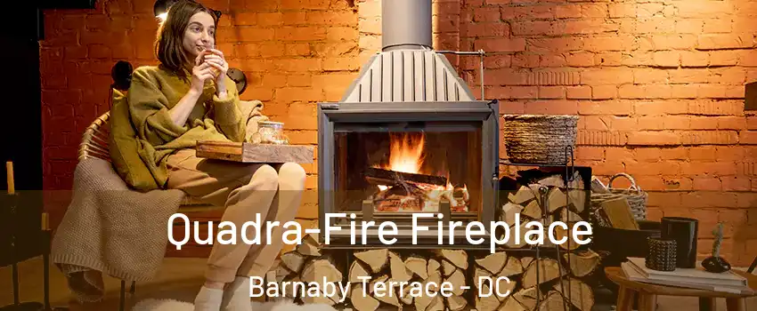 Quadra-Fire Fireplace Barnaby Terrace - DC