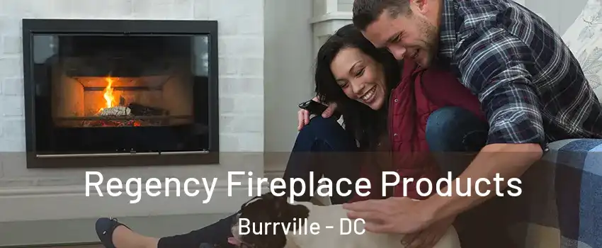 Regency Fireplace Products Burrville - DC