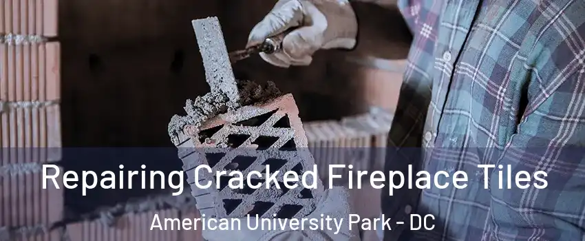 Repairing Cracked Fireplace Tiles American University Park - DC