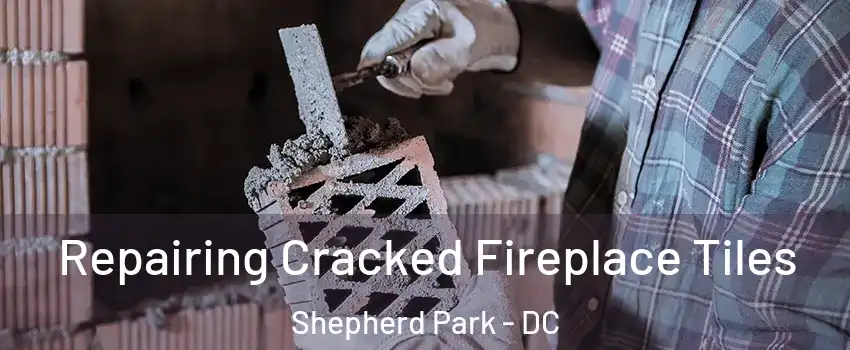 Repairing Cracked Fireplace Tiles Shepherd Park - DC