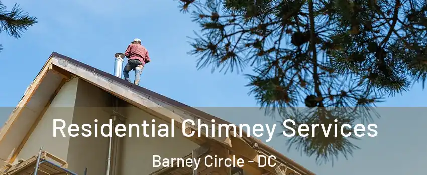 Residential Chimney Services Barney Circle - DC