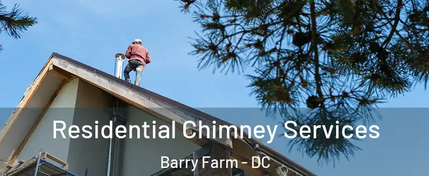 Residential Chimney Services Barry Farm - DC