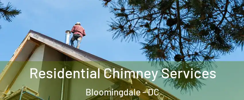 Residential Chimney Services Bloomingdale - DC