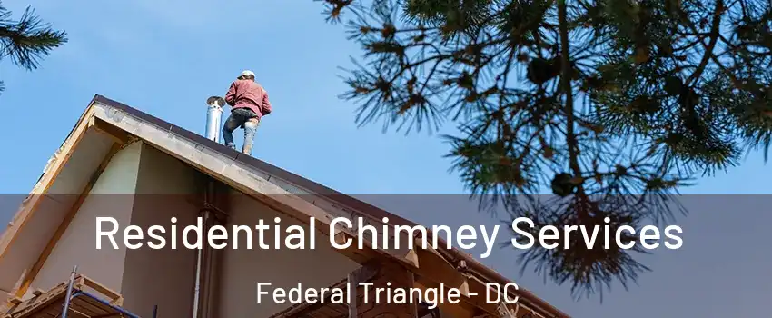 Residential Chimney Services Federal Triangle - DC