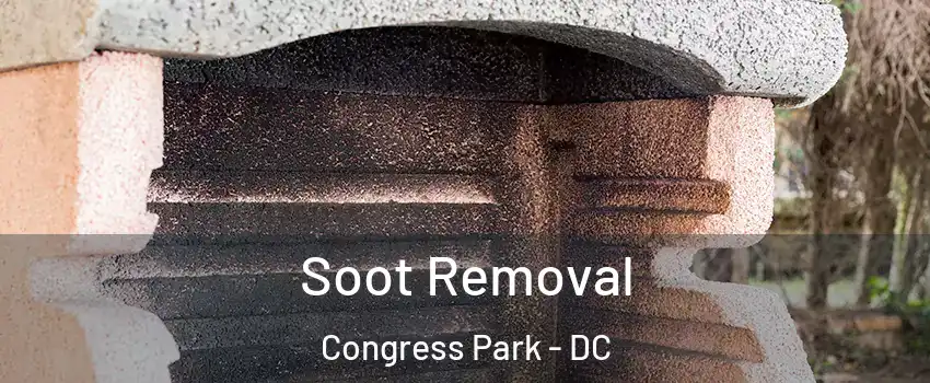 Soot Removal Congress Park - DC