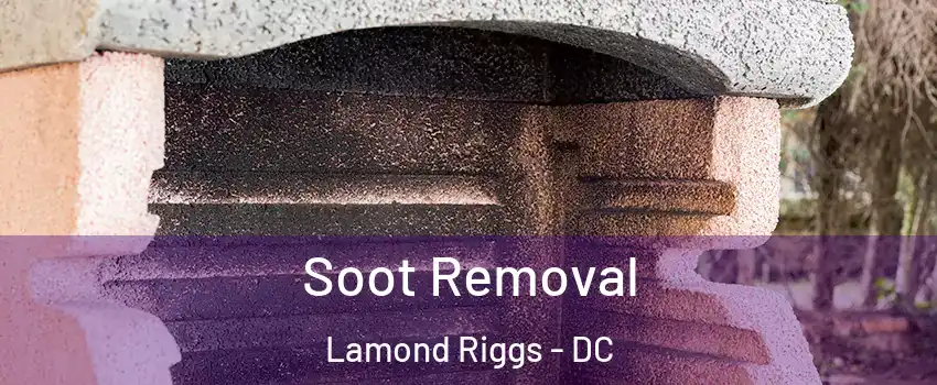 Soot Removal Lamond Riggs - DC