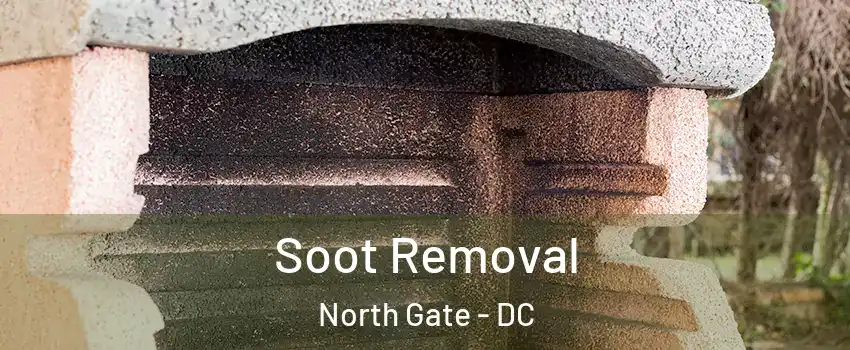 Soot Removal North Gate - DC