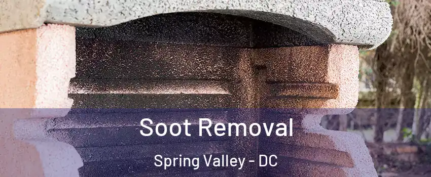 Soot Removal Spring Valley - DC