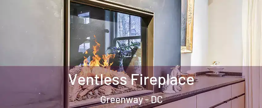 Ventless Fireplace Greenway - DC