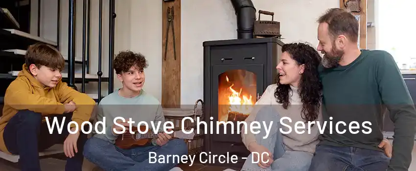 Wood Stove Chimney Services Barney Circle - DC