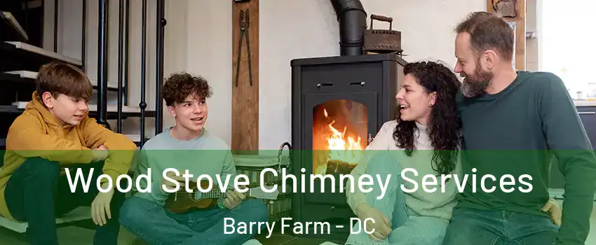 Wood Stove Chimney Services Barry Farm - DC