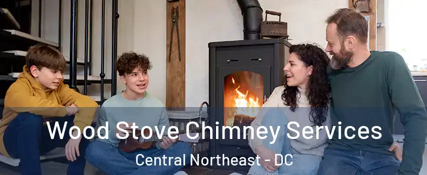 Wood Stove Chimney Services Central Northeast - DC