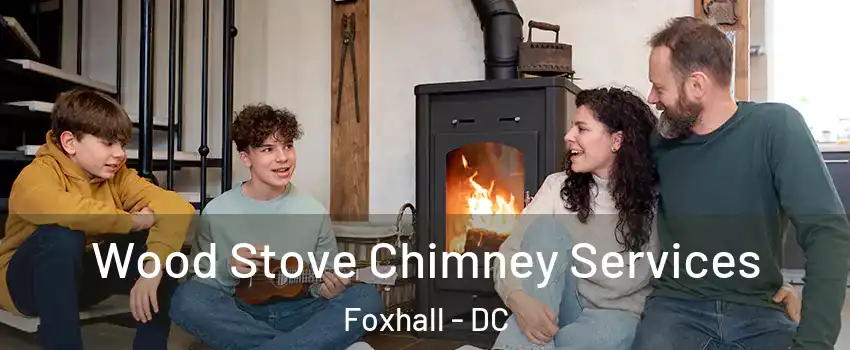 Wood Stove Chimney Services Foxhall - DC