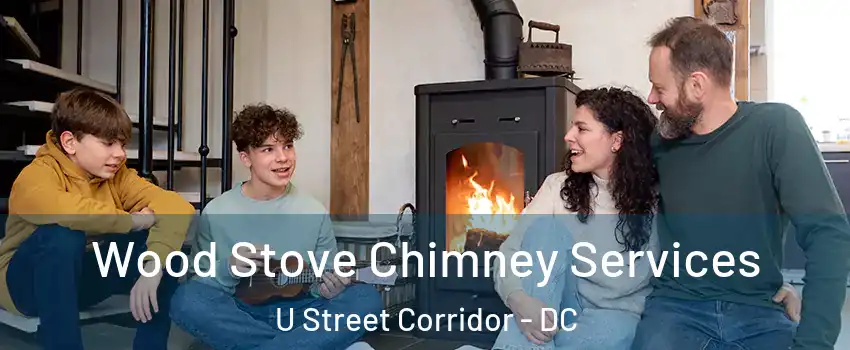 Wood Stove Chimney Services U Street Corridor - DC