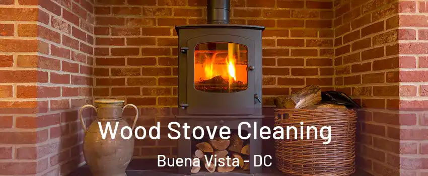 Wood Stove Cleaning Buena Vista - DC