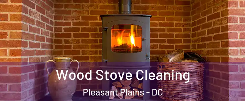 Wood Stove Cleaning Pleasant Plains - DC