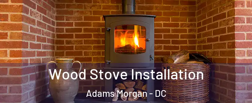 Wood Stove Installation Adams Morgan - DC