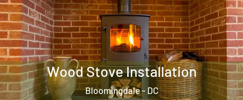 Wood Stove Installation Bloomingdale - DC