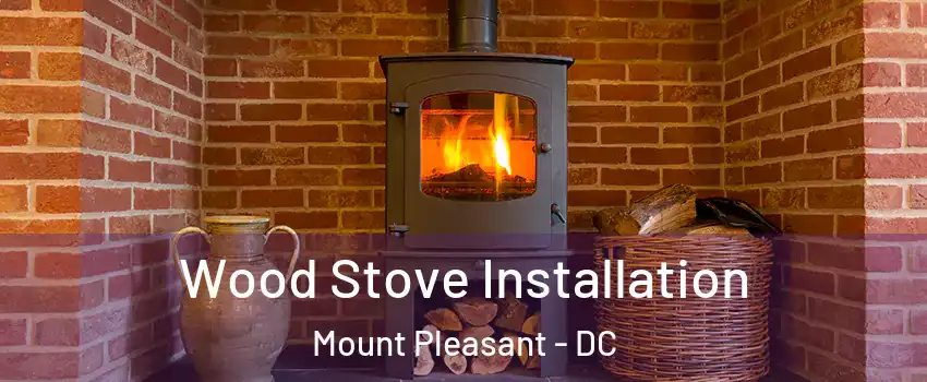 Wood Stove Installation Mount Pleasant - DC